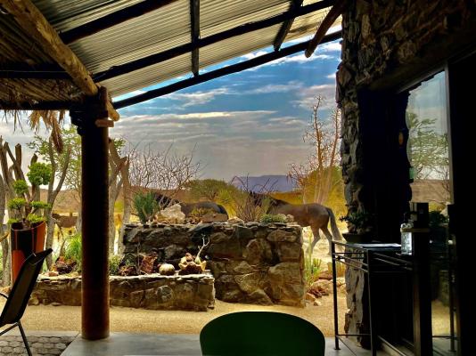 Daureb Isib Campsite and B&B - 199903