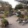 Daureb Isib Campsite and B&B - 199909