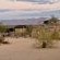 Daureb Isib Campsite and B&B - 199933