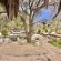 Daureb Isib Campsite and B&B - 199935