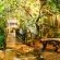 Mackaya Bella Guest House - 200010