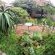Mackaya Bella Guest House - 200012