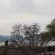Mia Hills Guest House - 200067
