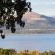 Mia Hills Guest House - 200068