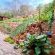 Mia Hills Guest House - 200070
