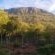 Mia Hills Guest House - 200074
