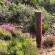 Bushman Valley - 200126