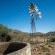 Bushman Valley - 200129