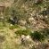 Bushman Valley - 200144