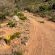 Bushman Valley - 200150