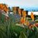 Aquamarine Guest House, Mossel Bay - 200286