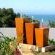 Aquamarine Guest House, Mossel Bay - 200299
