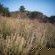 Boskloof Eco Estate