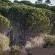 Hiking trail inside Boskloof Eco Estate