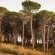 Hiking trail within Boskloof Eco Estate