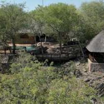 Rooted Bush Safaris - 201138
