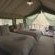 Rooted Bush Safaris - 201193