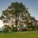 ArendsRus Country Lodge - 201515