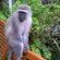 Amanzimtoti Beach Rest Guest House - 201678