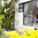Misty Waves Boutique Hotel - 201965