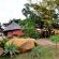 Aquanzi Lodge - 202069