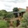Midlands Forest Lodge - 202253
