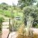 Midlands Forest Lodge - 202258