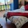 Thornbay Accommodation - 202432