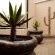 The Ranch - 202469