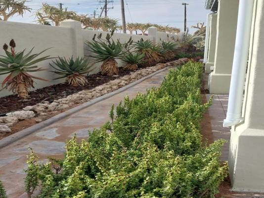 Kokerboom House - 202513