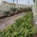 Kokerboom House - 202513