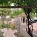 Kokerboom House - 202514
