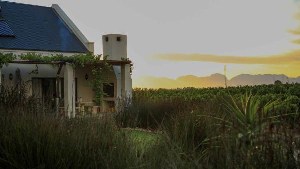 De Wilge - 202541