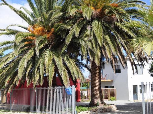 Two Palm House - Vermont Hermanus - 202716
