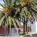 Two Palm House - Vermont Hermanus - 202716