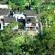 Coral Tree Inn - 202759