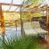Coral Tree Inn - 202762