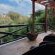 Coral Tree Inn - 202783