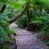 Forest Edge Holiday Cottages