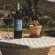 Rooiberg Lodge - 203290