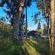 Hoogeland's Wood Cabins - 203310