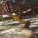 Hoogeland's Wood Cabins - 203311