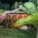 Aan Die Oewer Bed & Breakfast - 203404