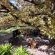 Aan Die Oewer Bed & Breakfast - 203445