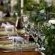 Platrand Lodge - 203465