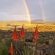 Platrand Lodge - 203469