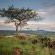 Platrand Lodge - 203470