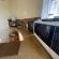 Magoebaskloof Ruskamp - The Mountain Lodge - 203521