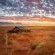 Wolwedans Dune Camp - 203932