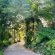 LoerieRoep - 203955